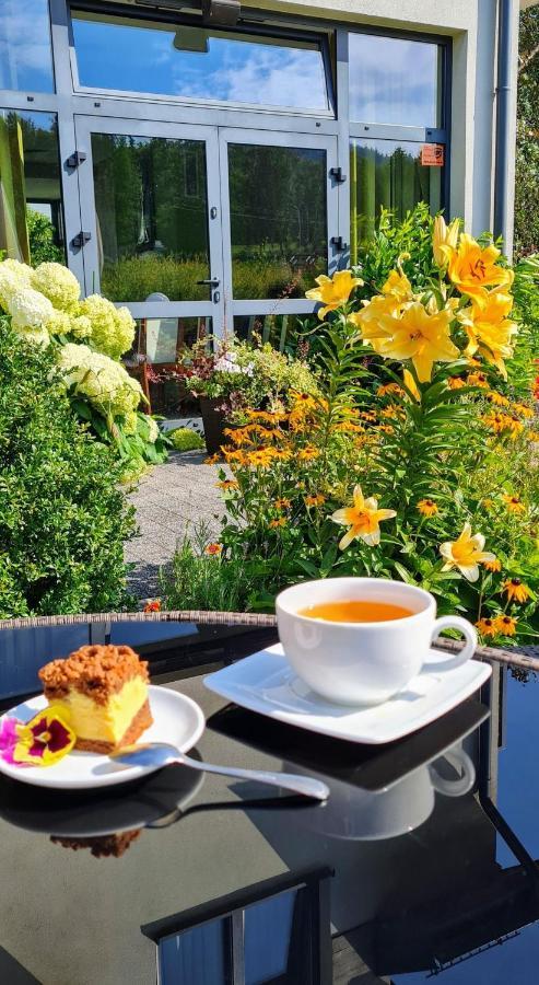 Pensjonat Lysica Wellness & Spa Swieta Katarzyna  Extérieur photo